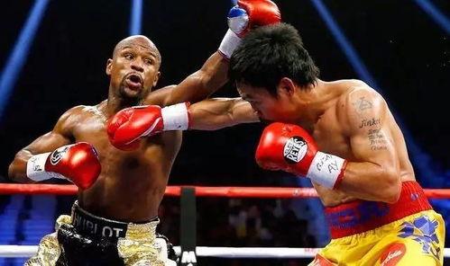 吃瓜娱乐拳击比赛